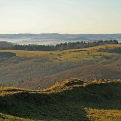 Ausblick vom Schloßberg in Richtung Hohe Straße