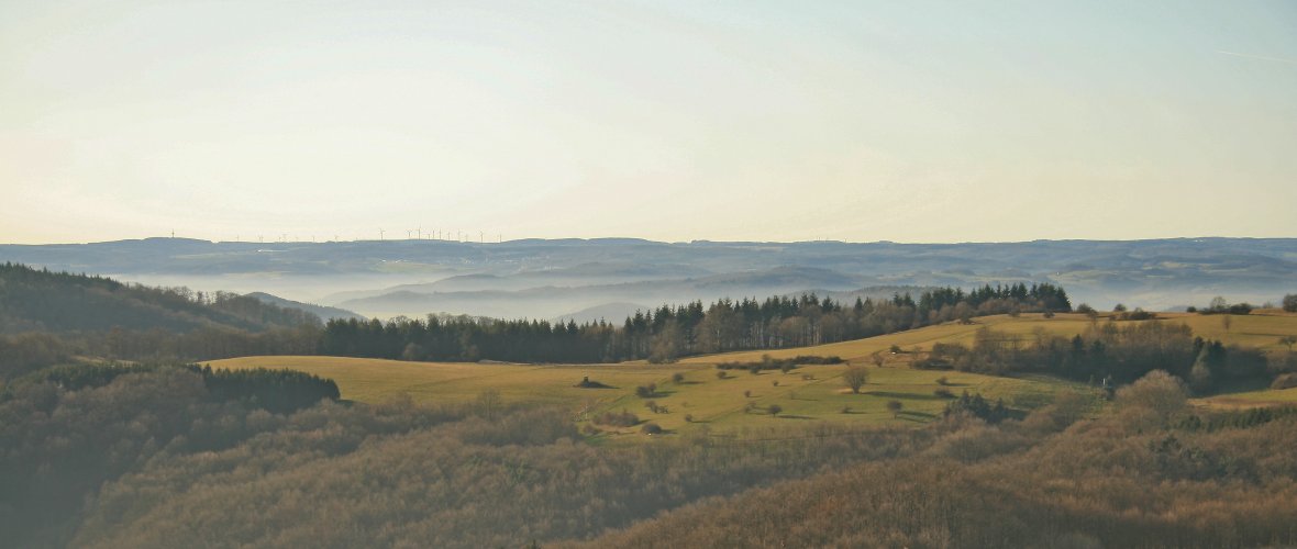 Ausblick vom Schloßberg in Richtung Hohe Straße